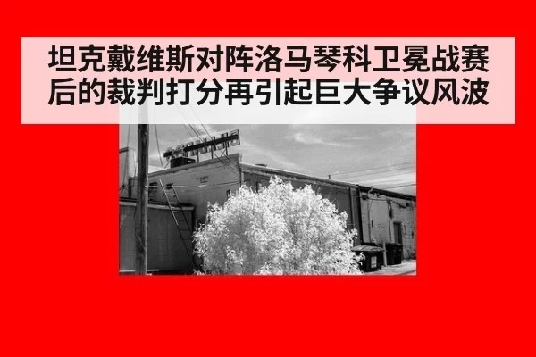 坦克戴维斯对阵洛马琴科卫冕战赛后的裁判打分再引起巨大争议风波