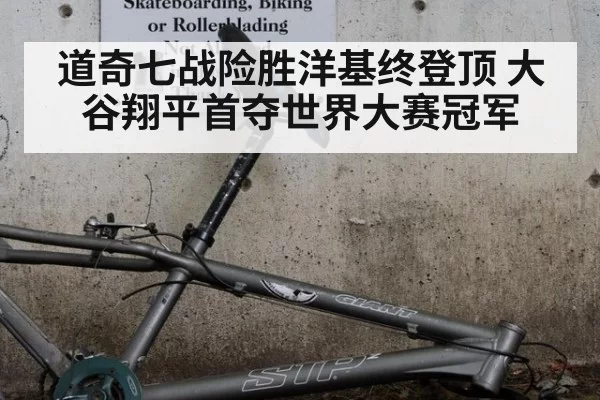 道奇七战险胜洋基终登顶 大谷翔平首夺世界大赛冠军