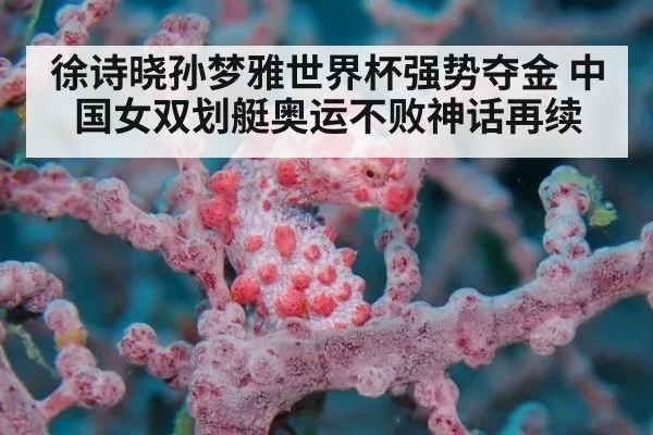 徐诗晓孙梦雅世界杯强势夺金 中国女双划艇奥运不败神话再续